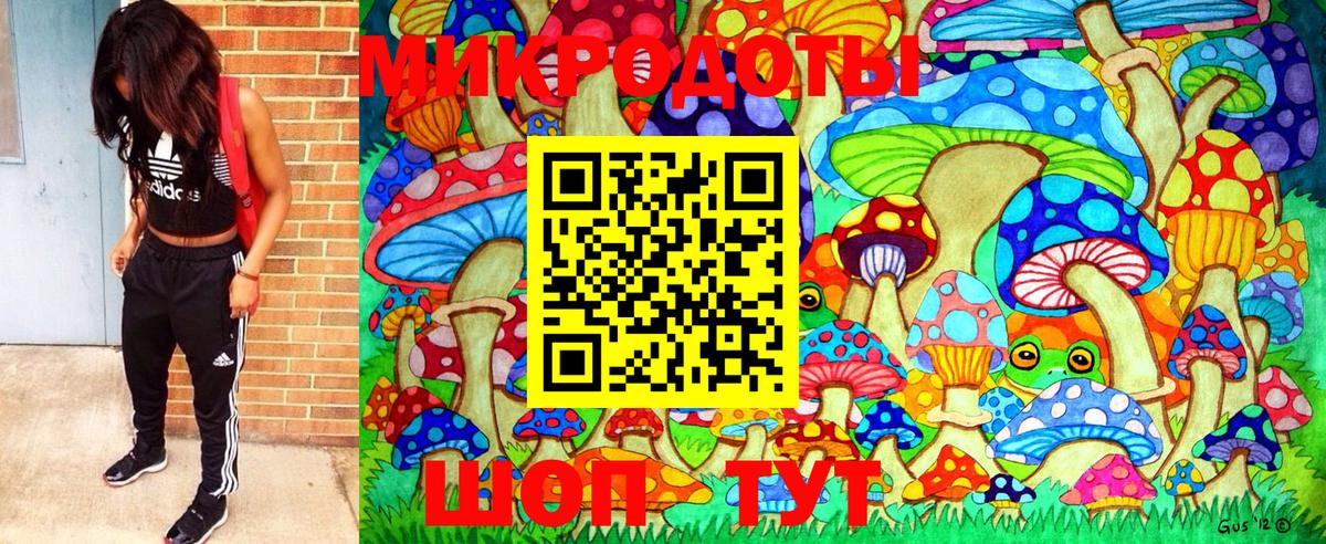 Жигулёвск  сколько стоит  Вход с VPN  Псилоцибиновые грибы прущие грибы 
